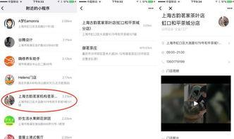 今日独家最新爆料小程序,今日最新爆料小程序，带你探秘幕后真相！