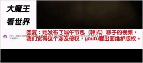 韩国队员爆料视频播放网站,揭秘视频播放网站幕后真相！  第3张