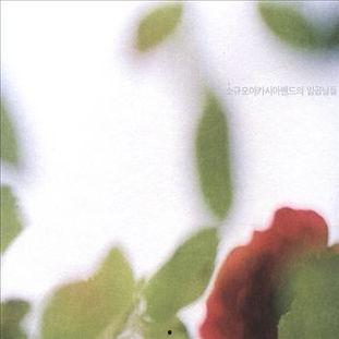 韩国洋槐在线观看,在线观看，感受浪漫槐花飘香之旅  第3张