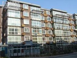 柏林在线观看,虚拟漫步这座历史名城的魅力瞬间 第2张 柏林在线观看,虚拟漫步这座历史名城的魅力瞬间 第2张