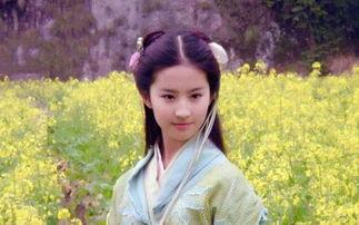 赵灵儿官方爆料视频大全,揭秘幕后故事与精彩瞬间  第2张