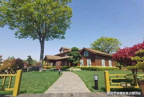 平安五华最新爆料消息查询,揭秘背后惊人真相  第2张