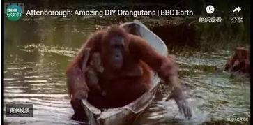 亚种2在线观看,在线观看揭秘神秘生物之谜  第3张