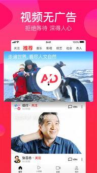 瓜哥吃货视频大全下载免费,免费下载，畅享美食盛宴  第3张