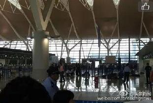 上海浦东机场最新爆料  第3张